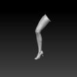 Right-leg.jpg Elvira Mistress of darkness
