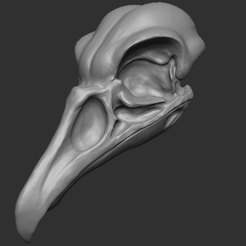 Avian-skull-1.png Archivo OBJ gratis Cráneo de pájaro・Modelo de impresión 3D para descargar, Gorg0n