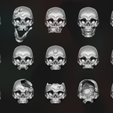 skull-models.png Черепа