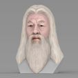 untitled.1740.jpg Dumbledore from Harry Potter bust for full color 3D printing