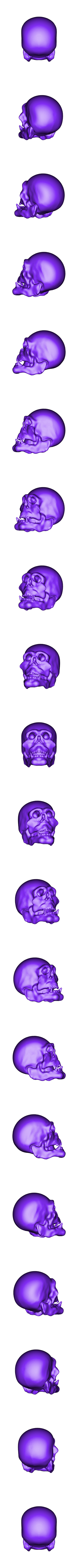 skull.obj Skull thing