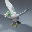 0013.png Photorealistic duck - posable/rigged [stl file included ]