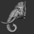 5.jpg Elephant  Head