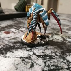 Terri the space bug