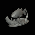 bass-na-podstavci-16.png bass 2.0 underwater statue detailed texture for 3d printing