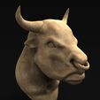 Bull_Head_KEY.jpg Bull Head 3D Model