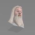 untitled.1753.jpg 3D file Dumbledore from Harry Potter bust for full color 3D printing・Model to download and 3D print