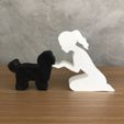 WhatsApp-Image-2023-01-10-at-13.42.34-1.jpeg Girl and her Shih tzu (tied hair) for 3D printer or laser cut