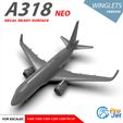 05.jpg Airbus A318 NEO winglets version