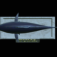 Tuna-model-16.png fish tuna bluefin / Thunnus thynnus statue detailed texture for 3d printing