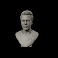 12.jpg Robert Downey 3D portrait sculpture