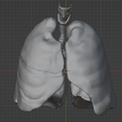 18.png 3D Model of the Lungs Airways