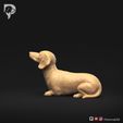 Dachshund-Miniature-Smooth-Haired-Pose-08-Dog-3D-Print-7s.jpeg Dachshund Miniature Smooth Haired Pose 08