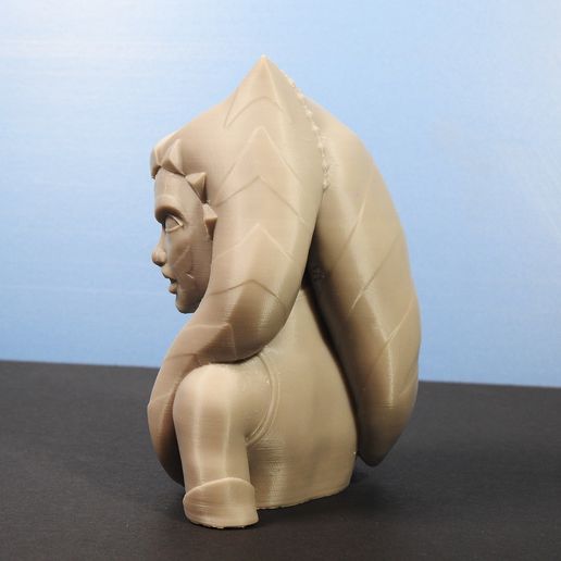 DSCN4316_fix.jpg Busto de Ahsoka Tano