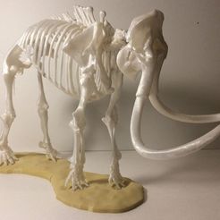 Woolly_Mammoth_2.jpg Fichier STL gratuit Squelette de mammouth laineux・Plan à télécharger et à imprimer en 3D