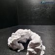 3D-printed-aquarium-cave-fish-hideout-pleco-cave-shrimp-shelter-fish-breeding-cave-betta-hideout-rep.jpg Aquarium Terrarium Rocky Cave - The Cliffside Retreat