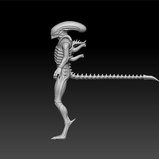 xenooo2.jpg xenomorph