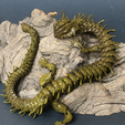 Images-2_109.png Articulated Dragon