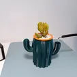 foto1.webp Self-watering Cactus Vase (trashed)