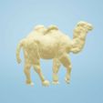 chameau-3.jpg Camelus 🐫