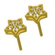 07.jpg Star Stud Earring