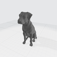 ridgeback.png Родезийский риджбек - № 1