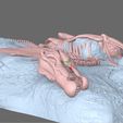 Spinosaurus-Fossil7.jpg Spinosaurus FOSSIL ROCK - 3D SKELETON OF spinosaurus DINOSAUR
