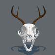 Gato-cuerno-3.png Decorative cat with horns