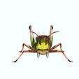 02.jpg DOWNLOAD Grasshopper 3D MODEL - ANIMATED - INSECT Raptor Linheraptor MICRO BEE FLYING - POKÉMON - DRAGON - Grasshopper - OBJ - FBX - 3D PRINTING - 3D PROJECT - GAME READY-3DSMAX-C4D-MAYA-BLENDER-UNITY-UNREAL - DINOSAUR -