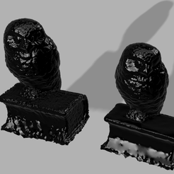 Capture-d'écran-2023-11-17-002743.png owl and book