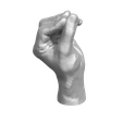 Mano-Presa-Pluridigital-1.png Pluridigital prey hand