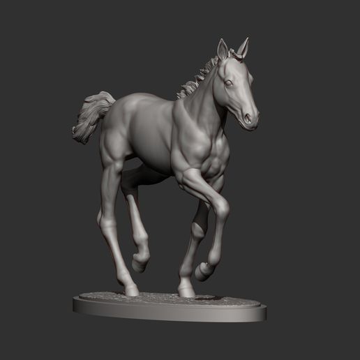 foal-is-running10.jpg El potro corre