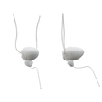 Bladder_-prostate_Light.png Male Reproductive System Anatomy