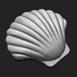 5.jpg Shell 11 - 3D Print - Aquarium