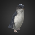 Capture d’écran 2017-12-14 à 15.17.09.png Free OBJ file Little Blue Penguin / Kororā・3D printable model to download