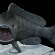 White-grouper-open-mouth-1-18.png fish white grouper / Epinephelus aeneus trophy statue detailed texture for 3d printing