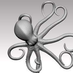 10.jpg Oktopus