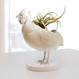 14.png guinea fowl  mouth open planter pot flower vase stl
