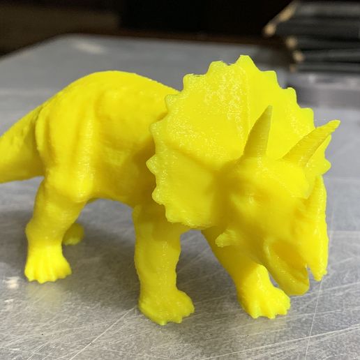 pic9.JPG Triceratops