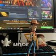 IMG_6138.jpg Woody