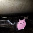 20220331_195942.jpg 2 inch tow hitch cover pig