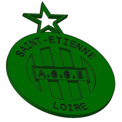 Pin's ASSE Saint-Étienne, Logo Argent, Ancien Et Neuf