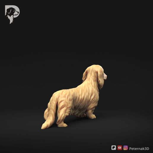 Dachshund-Miniature-Long-Haired-Pose-01-Dog-3D-Print-4s.jpeg Dachshund Miniature Long Haired Pose 01