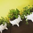 "Molcajete" Flowerpot Line