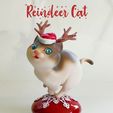reindeer cat01.jpg Gato rena