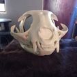 IMG_20201031_150046.jpg Skull cat head