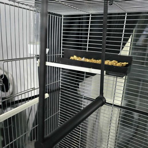 altalena per uccelli