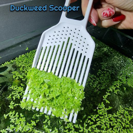 🐠 Duckweed Scooper Aquarium Tools・ STL File for 3D printing・Cults