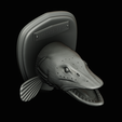 northern-pike-23.png head trophy NORTHERN PIKE (ESOX LUCIUS) open mouth statue detailed texture for 3d printing