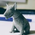 IMG_20181025_114246 (1).jpg Figurine bull terrier dog